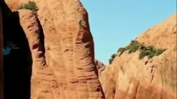 ببینید / دوچرخه سواری در مسیر غیر ممکن + فیلم 