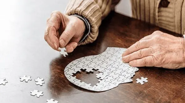 ۴ آنتی‌اکسیدان قوی برای پیشگیری از آلزایمر
