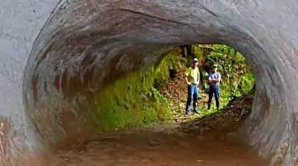 تنبل های ماقبل تاریخ این تونل ها را حفر کرده اند ! + عکس