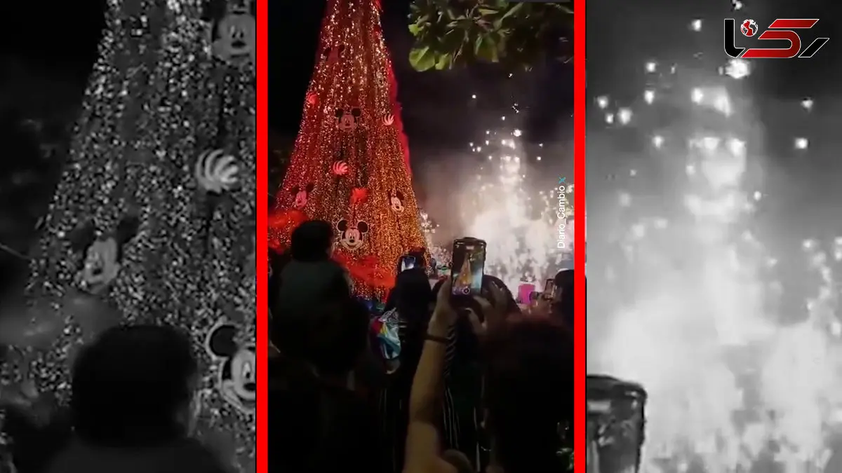 فیلم آتش‌سوزی ناگهانی درخت کریسمس در مکزیک