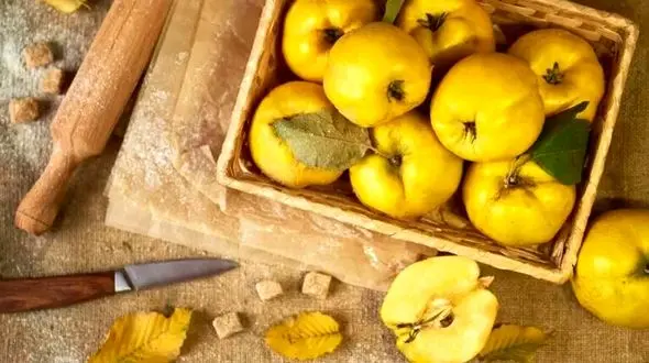 میوه درمان کننده ریفلاکس معده + فیلم