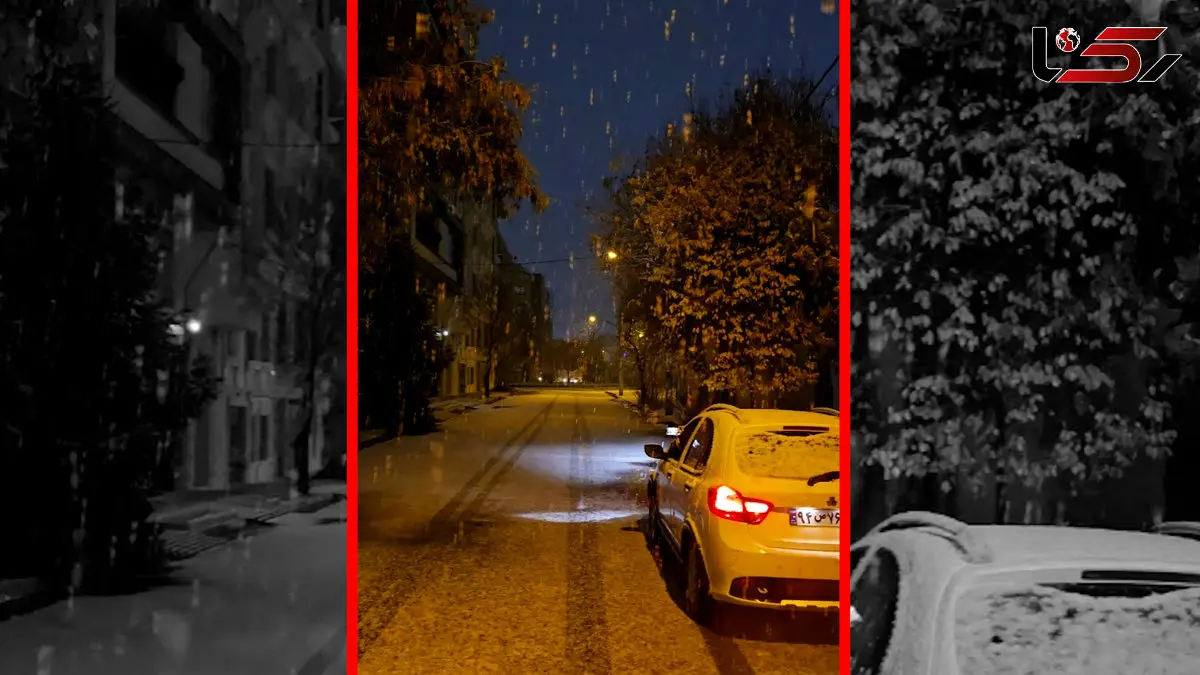 فیلم سفیدپوش شدن زنجان با برف شب گذشته