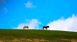 8 عکس جذاب از سرزمین دشت های گل و روستاهای سرسبز در اردبیل