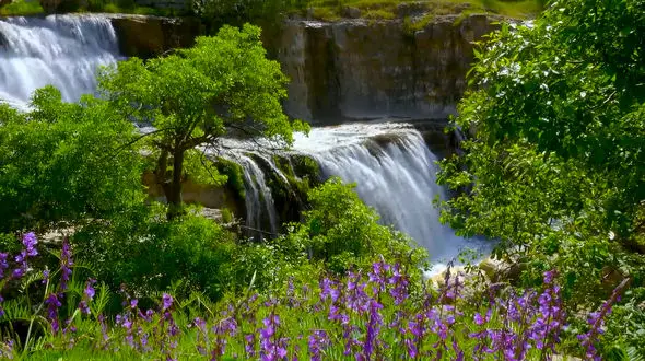 ببینید / نماهنگ بی کلام آرامش بخش با طبیعت زیبای بهاری + فیلم