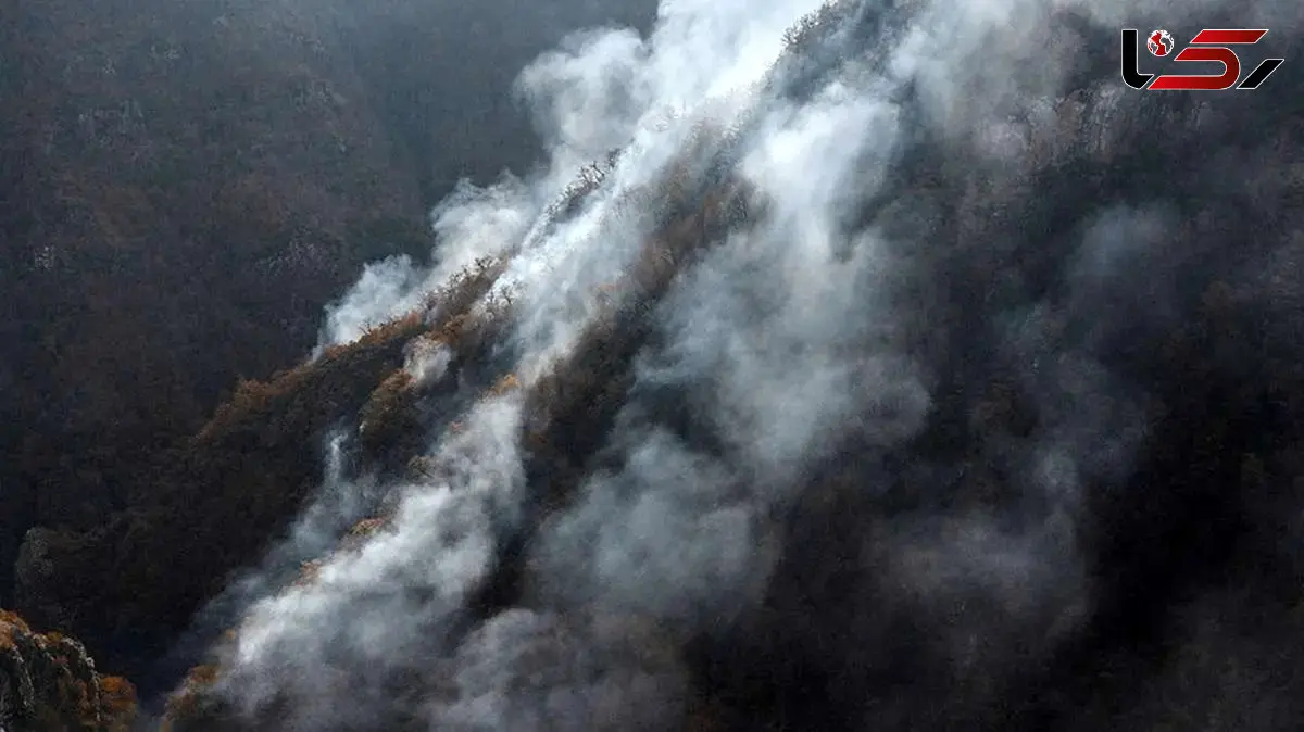 ۱۲ سورتی پرواز بالگردهای هلال احمر در ادامه عملیات اطفای حریق جنگل‌های الیت چالوس