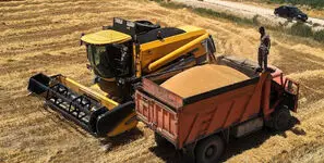 واحدهای صنف و صنعت مجاز به خرید توافقی و واردات گندم شدند
