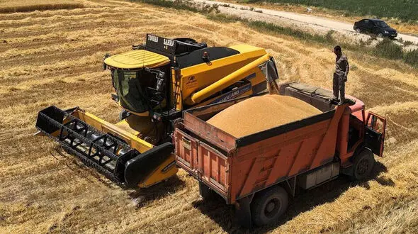 واحدهای صنف و صنعت مجاز به خرید توافقی و واردات گندم شدند