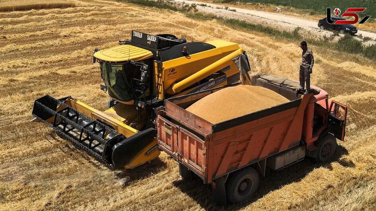واحدهای صنف و صنعت مجاز به خرید توافقی و واردات گندم شدند