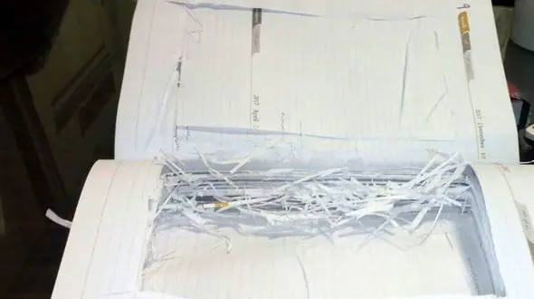 مسافر شیشه ای پرواز مشهد- کیش دستگیر شد +عکس