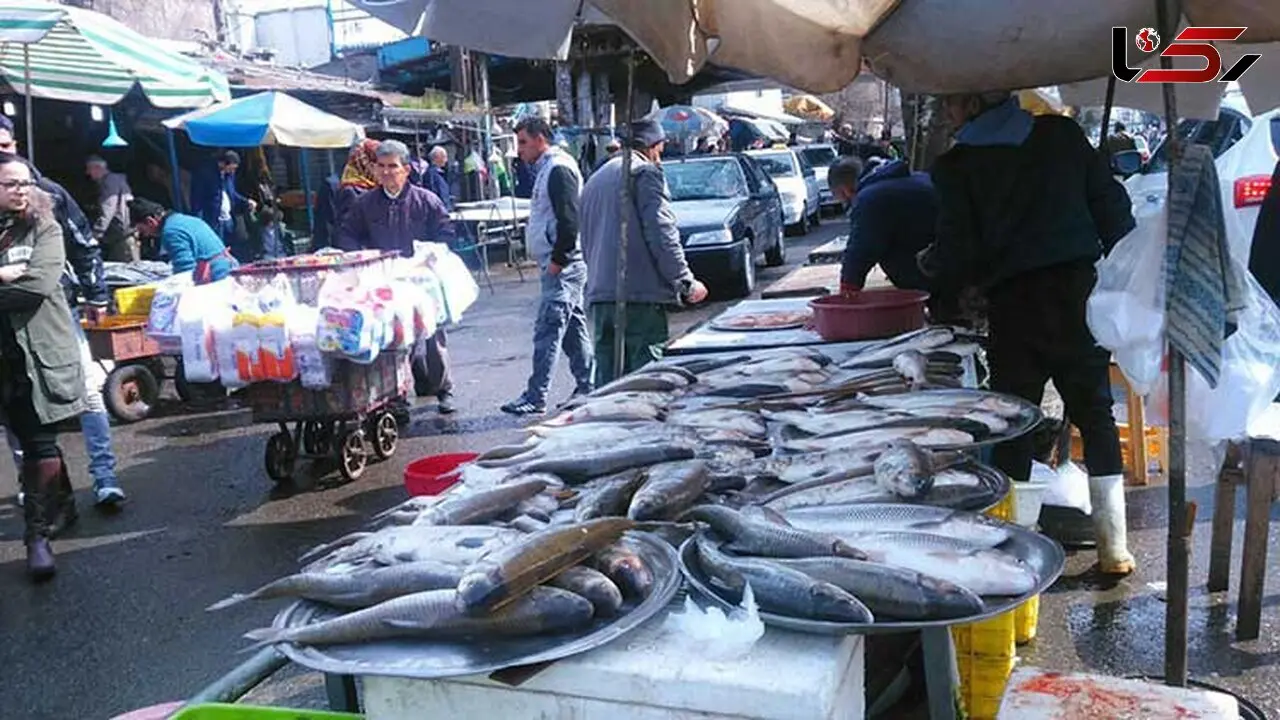 از بازار ماهی و میگو چه خبر؟