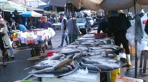 از بازار ماهی و میگو چه خبر؟