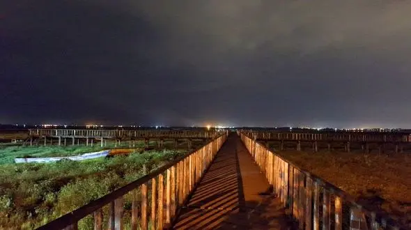 تصویری دردناک از تالاب انزلی/ تا دور دست ها اثری از تالاب نیست!