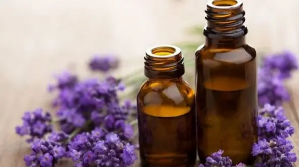 راز داشتن پوست و موی سالم با 6 روغن گیاهی بی نظیر