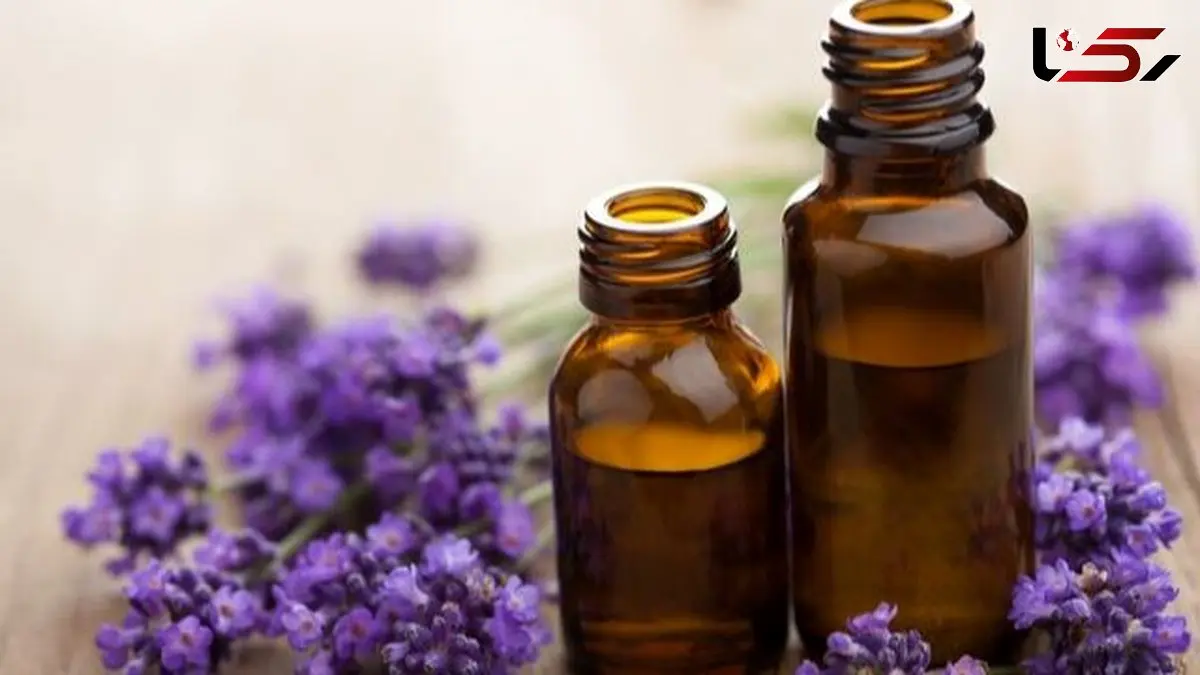 راز داشتن پوست و موی سالم با 6 روغن گیاهی بی نظیر