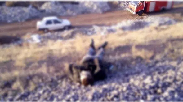 کشف جسد یک مرد در کنار ریل راه آهن پرند/ راز مرگ این مرد چیست؟ + عکس