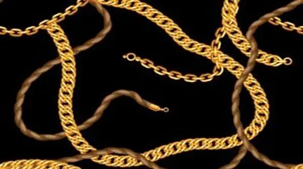 سرقت دردسرساز خواستگار مو جوگندمی از دختر جوان / مینا او را شناسایی کرد