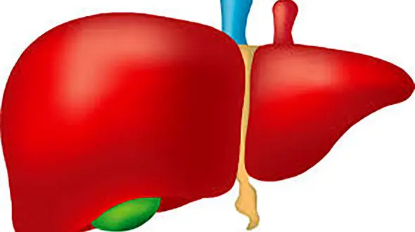 دمنوش عالی برای پاکسازی کبد / فیلم