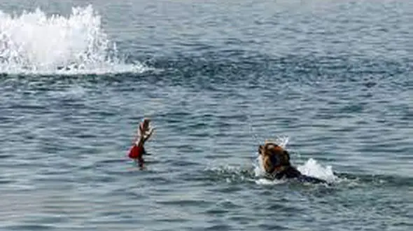 فیلم تحسین برانگیز از لحظه تلاش برای نجات یک مرد در سالحل دریا / این فرشتگان را باید ستایش کرد 