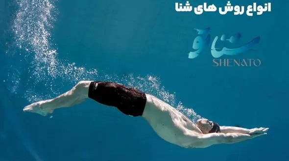 با انواع شنا چه حد آشنایی دارید؟/ شناخت 4 مدل معروف شنا