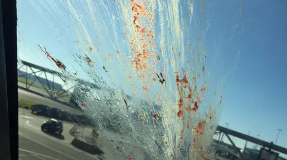 برخورد شدید یک عقاب با سمت چپ کابین خلبان پرواز ایرانی به آمستردام + عکس