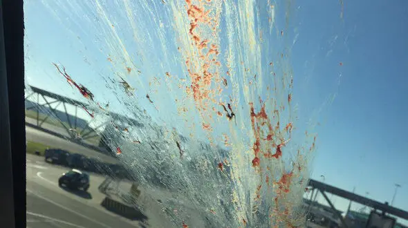 برخورد شدید یک عقاب با سمت چپ کابین خلبان پرواز ایرانی به آمستردام + عکس