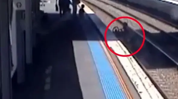 فداکاری مادر برای خارج کردن کالسکه از روی ریل راه آهن + فیلم