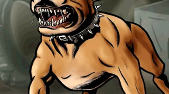 از سگ ورزشکار تا دوستی سنجاب ها