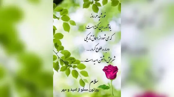 فال ابجد 29 اسفند 1403 + فیلم