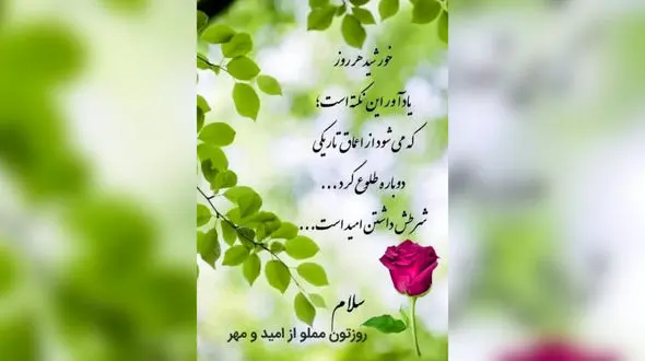 فال ابجد 29 اسفند 1403 + فیلم