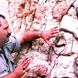سلطان مارهای ایران؛ مرد کُردی که نه‌تنها از نیش، زهر و ظاهر چندش‌آور مار ترسی ندارد بلکه از زندگی با آنها لذت میبرد/ عجب دل و جرئتی داره+عکس