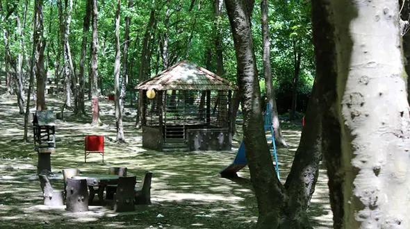 جاهای دیدنی آمل کجاست؟ / فیلم