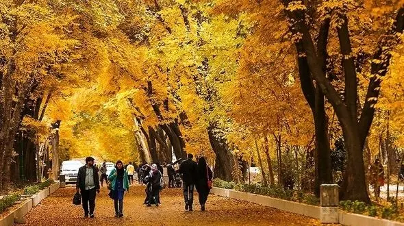 دوستی‌های خیابانی چگونه شکل می گیرد ؟ /شکاف عمیق بین نسلی، از علل اصلی 