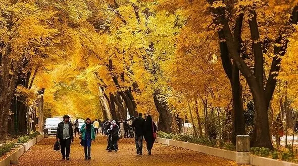 دوستی‌های خیابانی چگونه شکل می گیرد ؟ /شکاف عمیق بین نسلی، از علل اصلی 
