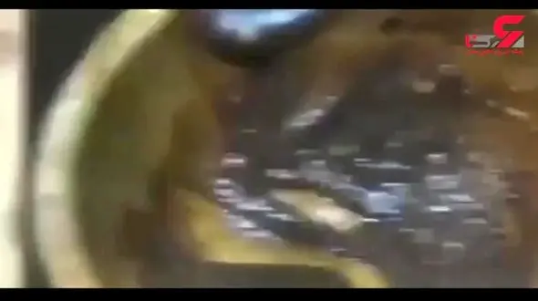 این ماسک در جوان شدن پوست معجزه می کند + تصویر