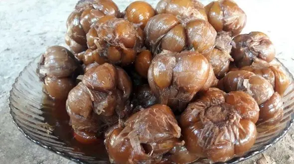 سیر خام بهتر است یا سیر ترشی؟