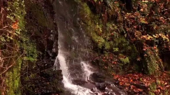 جاودانگی آرامش در دل طبیعت پیرانشهر و زمرد