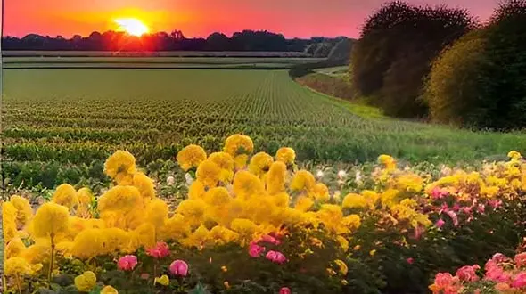 فال روزانه 28 تیر 1404+ فیلم 