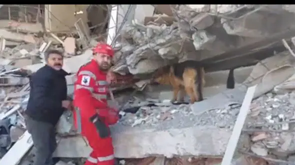 فیلم حیرت انگیز از نجات مرد زلزله زده از زیر آوار توسط سگ های جستجوی ایران