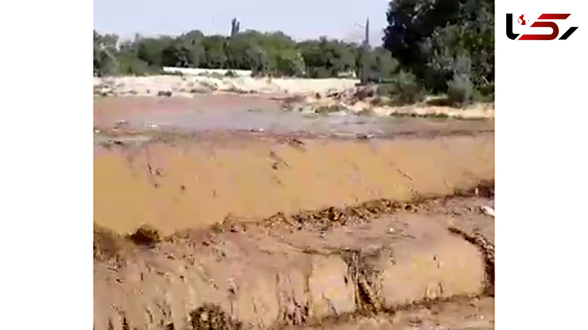 فیلم طغیان رودخانه گنبرف در دهستان قاضی‌جهان / صحنه وحشتناکی بود