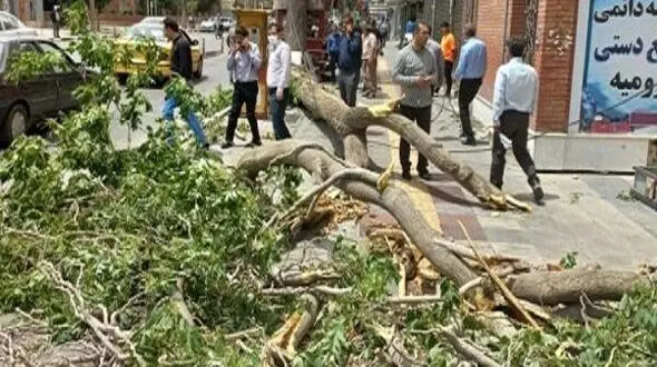 فیلم لحظه مرگ 2 مرد در طوفان ارومیه ! / باد آنها را در هوا چرخاند و زمین کوبید !