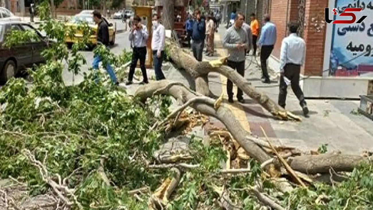 فیلم لحظه مرگ 2 مرد در طوفان ارومیه ! / باد آنها را در هوا چرخاند و زمین کوبید !