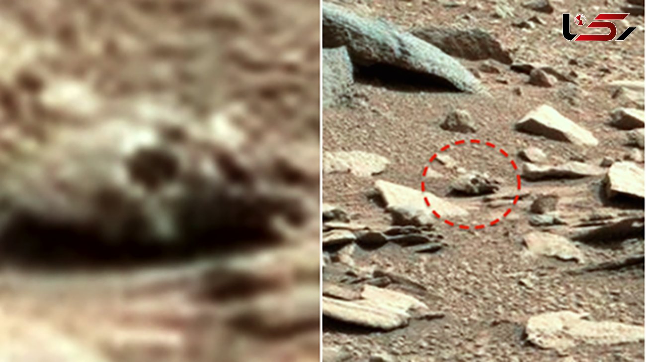 راز یک جمجمه در مریخ+ عکس عجیب را ببینید