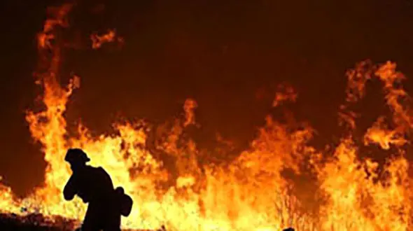 36 کشته و زخمی براثر انفجار انبار وسایل آتش بازی در مکزیک 