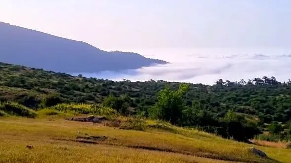 از زیبایی شاهرود تا آرامش شکردشت تالش