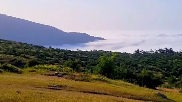 از زیبایی شاهرود تا آرامش شکردشت تالش