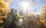 ببینید / نماهنگ بی کلام آرامش بخش + فیلم 
