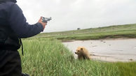 فیلم فراری دادن خرس گریزلی توسط ماهیگیران 