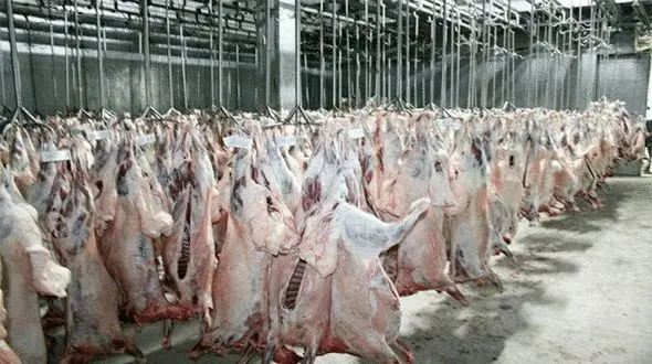 حذف کشتارگاه‌های سنتی در مازندران