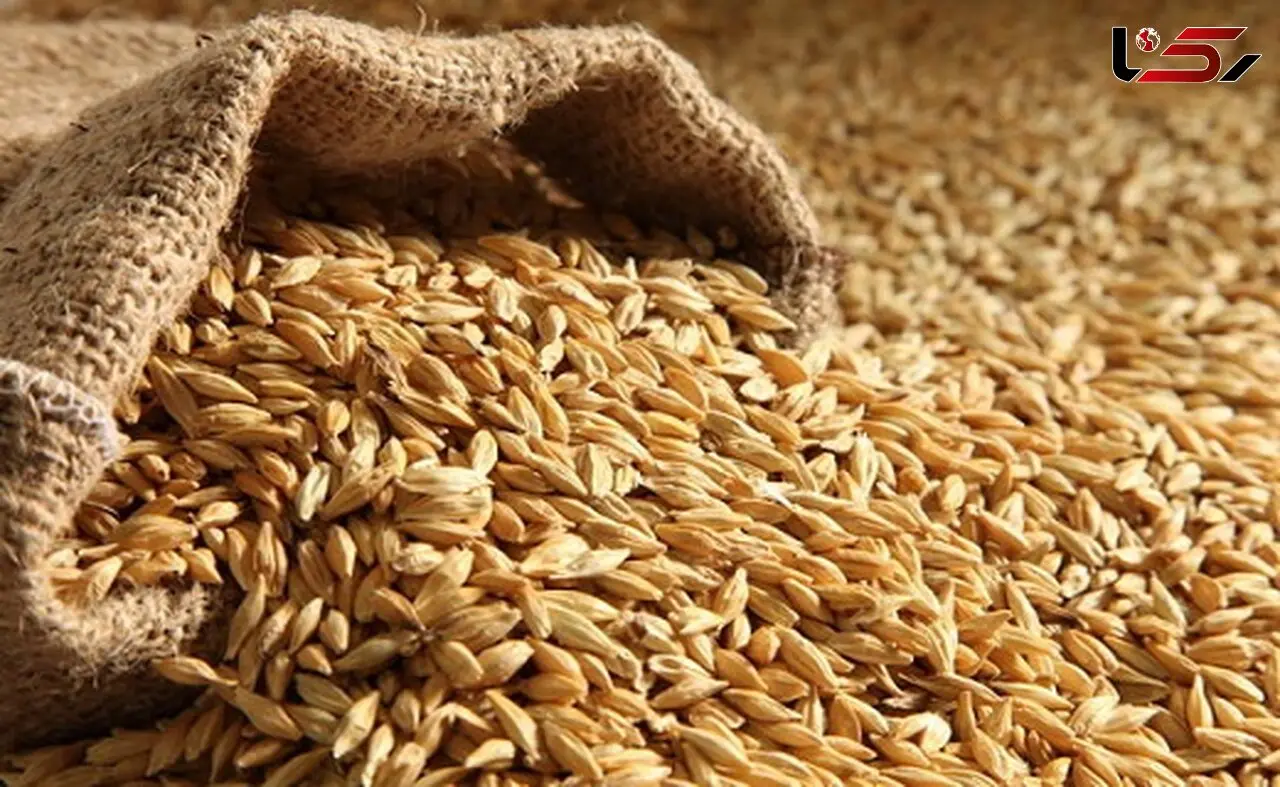 شگفت انگیزترین  نسخه گیاهی برای کاهش غلظت خون