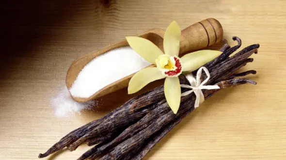 7 گام طلایی برای رسیدن به خوش اندام شدن!